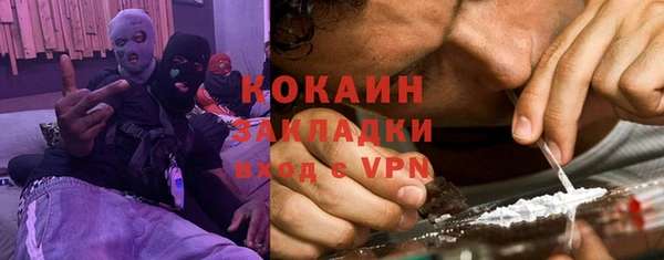 ГАЛЛЮЦИНОГЕННЫЕ ГРИБЫ Каменка