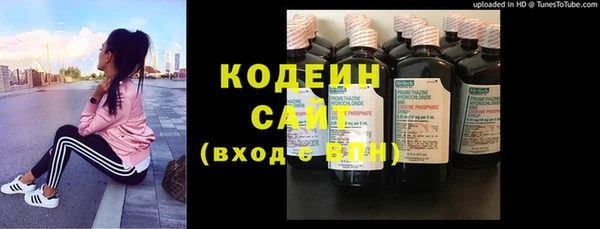 ГАЛЛЮЦИНОГЕННЫЕ ГРИБЫ Каменка