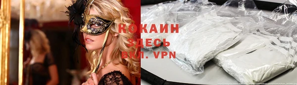 ГАЛЛЮЦИНОГЕННЫЕ ГРИБЫ Каменка