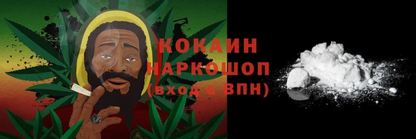 спиды Каменногорск