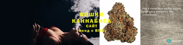 спиды Каменногорск