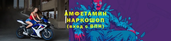 спиды Каменногорск
