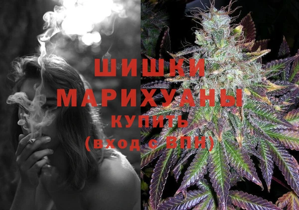 спиды Каменногорск