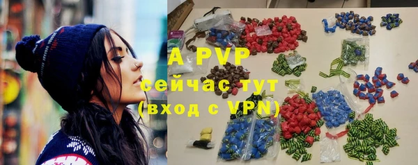 ГАЛЛЮЦИНОГЕННЫЕ ГРИБЫ Каменка