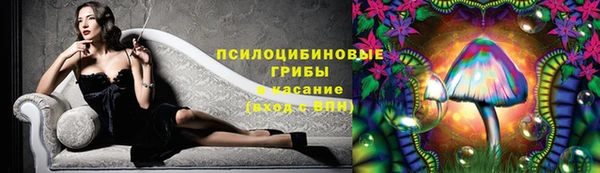 ГАЛЛЮЦИНОГЕННЫЕ ГРИБЫ Каменка