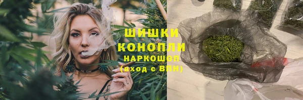 спиды Каменногорск