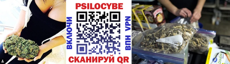 Купить где  Чкаловск  Галлюциногенные грибы Cubensis 