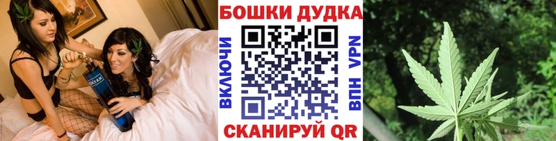 Бошки марихуана планчик  Купить  Чкаловск 